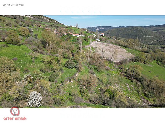 ALTIEYLÜL BAĞALANDA SATILIK MÜSTAKİL PARSEL BÜYÜK ARSA 1600 M² - BALIKESİR ALTIEYLÜL fotoğraf 53