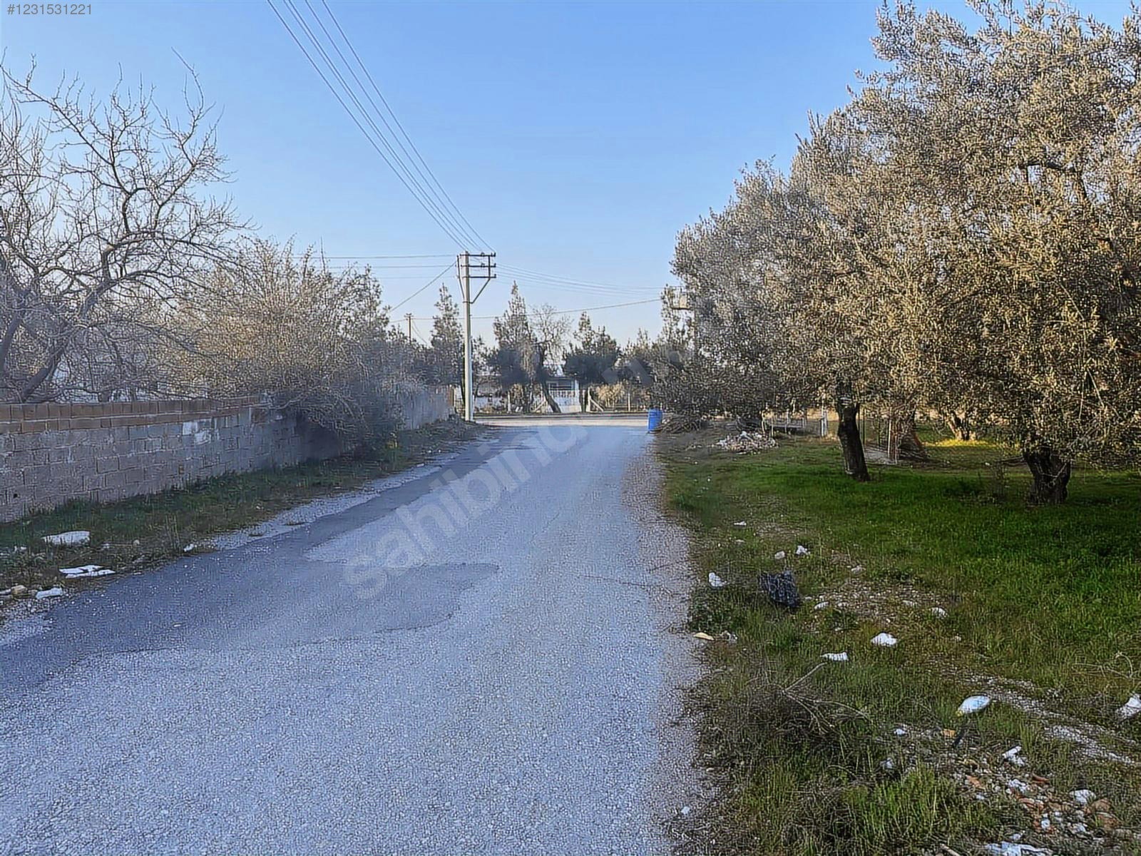 DOSTLARDAN SEYİTAHMETDE ARSA - MANİSA AKHİSAR fotoğraf 5
