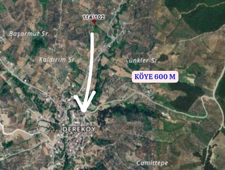 BURSA MUDANYA DEREKÖY KÖYÜNDE 1.260 M² ZEYTİNLİK SATILIKTIR. - BURSA MUDANYA fotoğraf 8