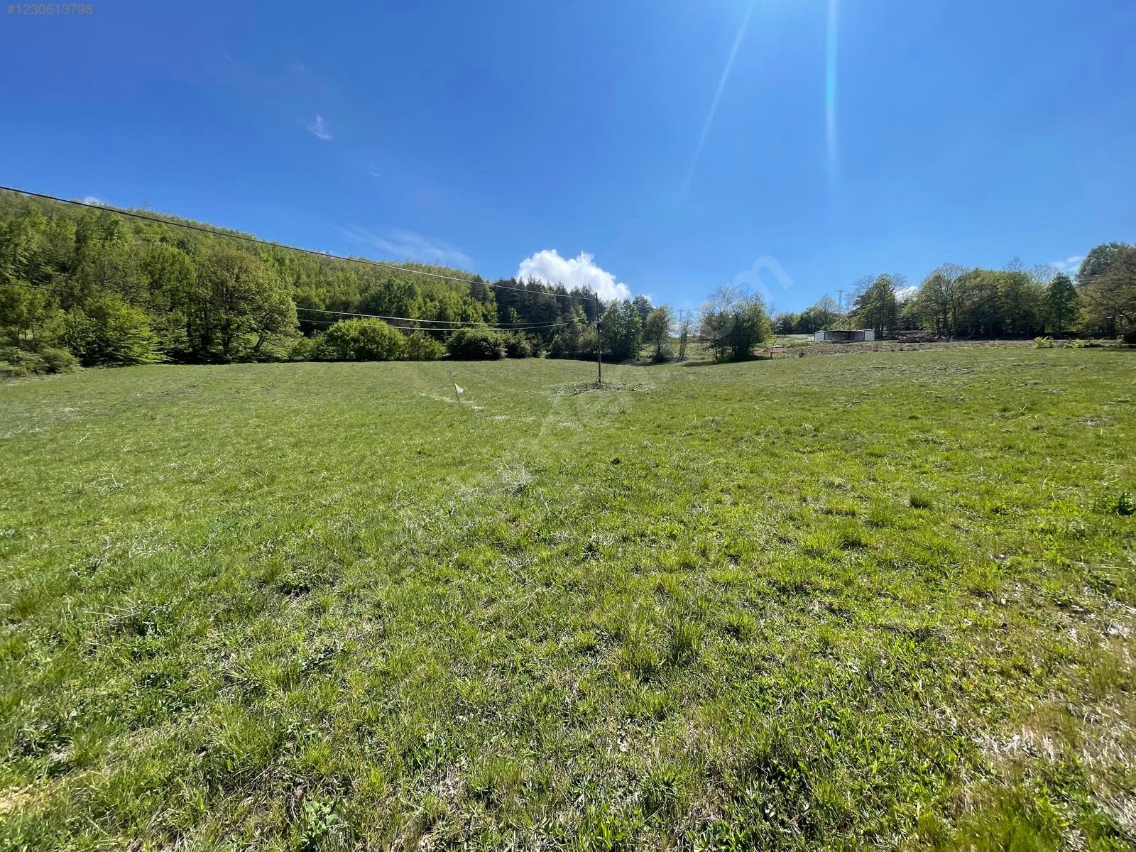 BURSA İZNİK CANDARLI'DA 6.517 M²  TARLA  SATILIKTIR. - BURSA İZNİK fotoğraf 8