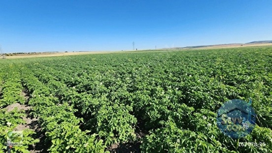 🚨 KÜTAHYA'DA ANAYOLA CEPHELİ 6.152 M² VERİMLİ TARLA 🚨 - KÜTAHYA MERKEZ fotoğraf 25