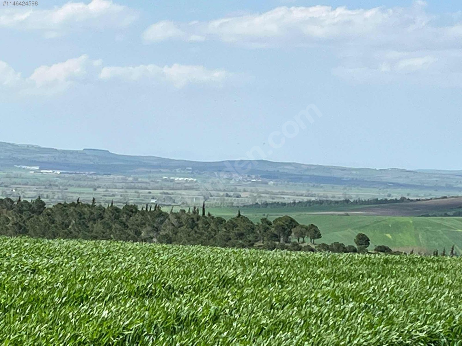 BURSA M.KEMALPAŞA KOSOVA 2.680 M² TARLA SATILIKTIR. - BURSA MUSTAFAKEMALPAŞA fotoğraf 16