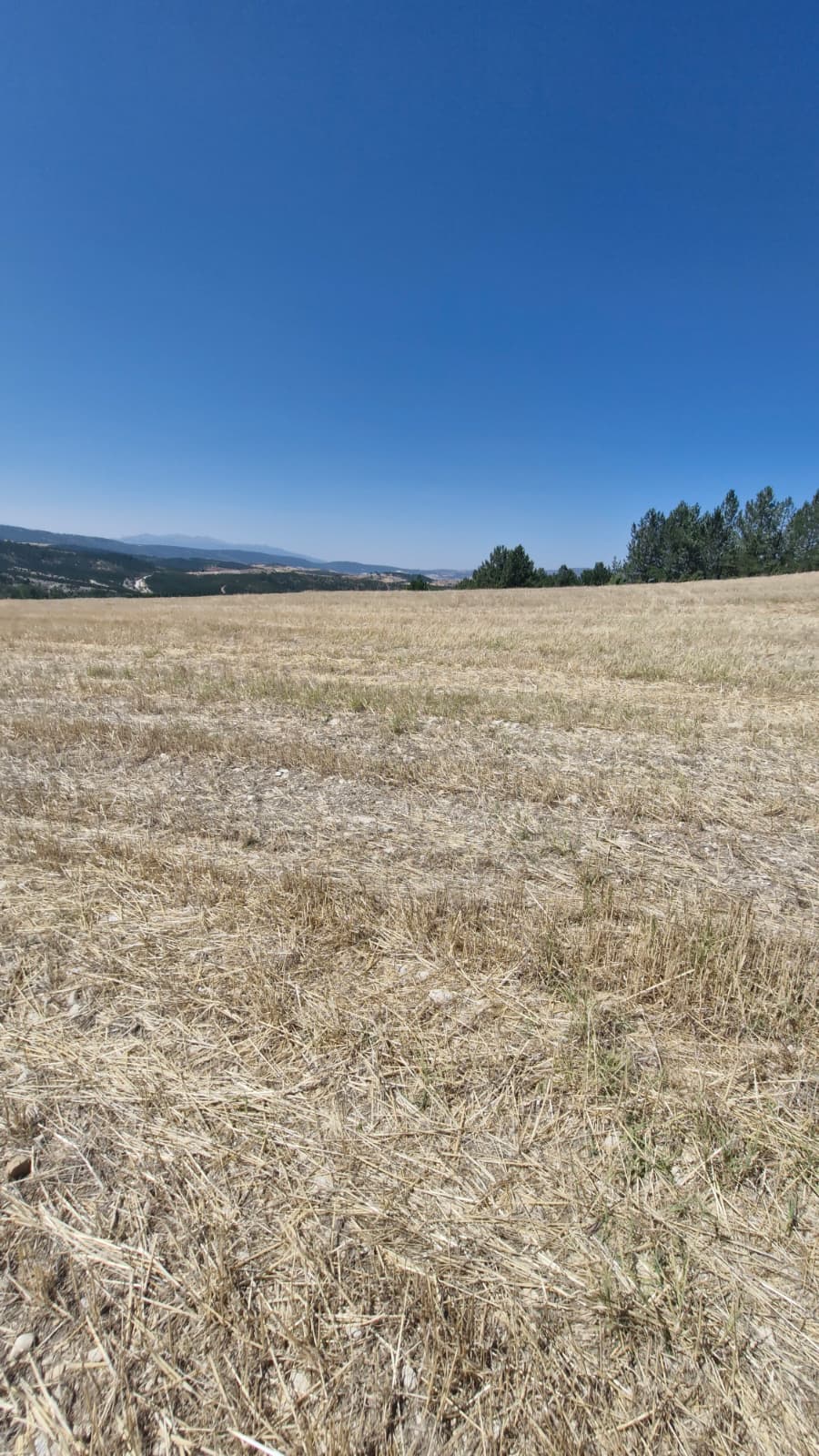    KÜTAHYA GEDİZ YEĞİNLER  KÖYÜNDE 5.332  M² TARLA  SATILIKTIR - KÜTAHYA GEDİZ fotoğraf 3