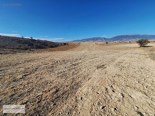 KORKUTELİ BOZOVA DA 19.000 M2 İMARA 220 MT - ANTALYA KORKUTELİ fotoğraf 5