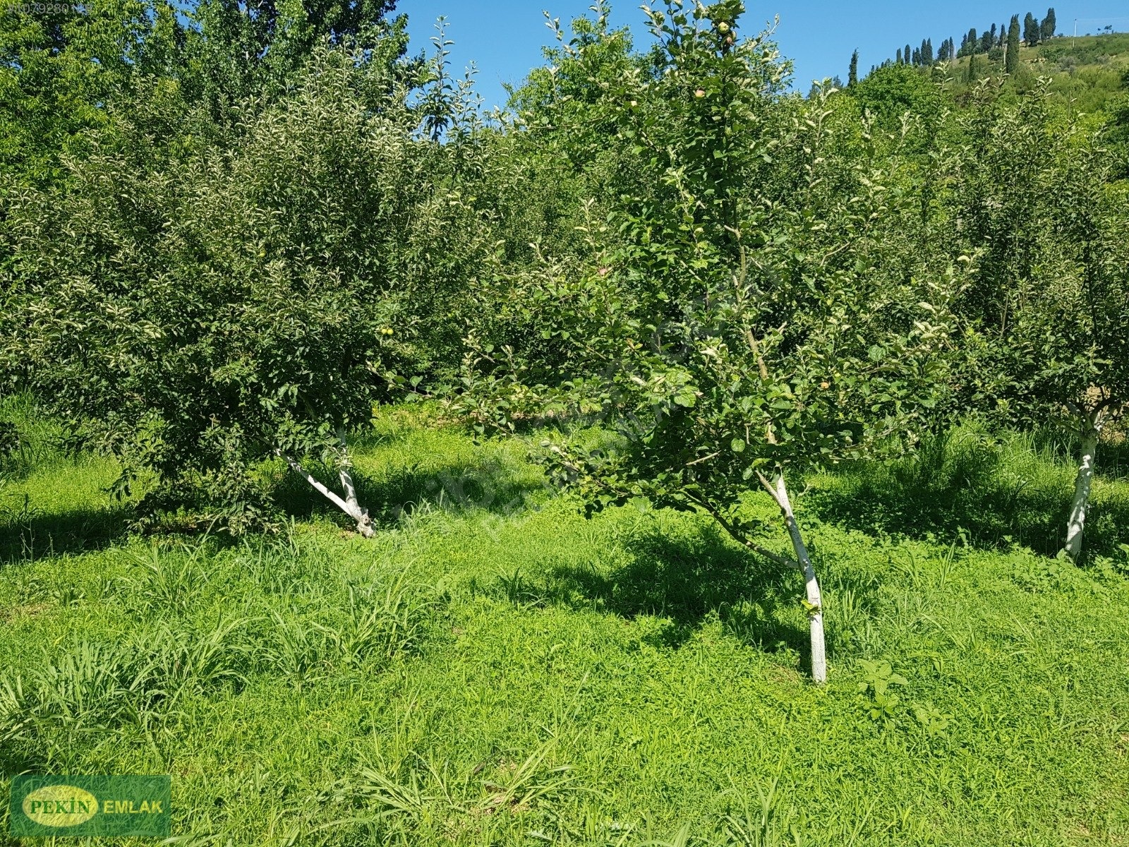 PEKİN EMLAKTAN İZMİT TE SATILIK ARAZİ - KOCAELİ İZMİT fotoğraf 20