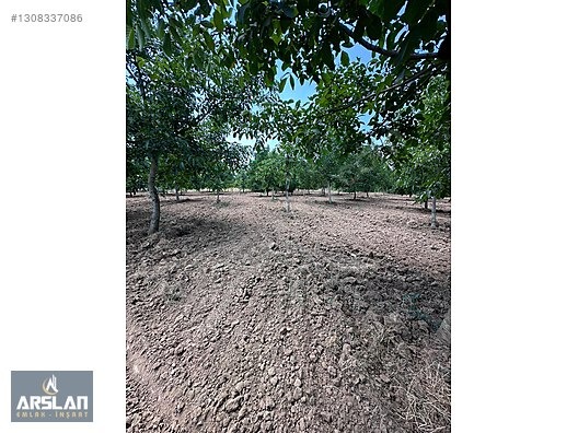 İNEGÖL ÇİTLİ'MAH 11,000m² SATILIK BAKIMLI CEVİZ BAHÇESİ - BURSA İNEGÖL fotoğraf 8