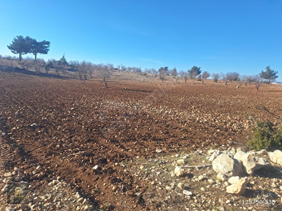 GÜLNAR SARAY MAHALLESİNDE SATILIK 10500 M2 TARLA - MERSİN GÜLNAR fotoğraf 14