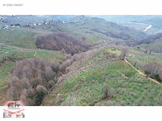 DÜZCE AKÇAKOCA DA EV YAPIMINA UYGUN SATILIK 7.768 M2 FINDIKLIK - DÜZCE AKÇAKOCA fotoğraf 32