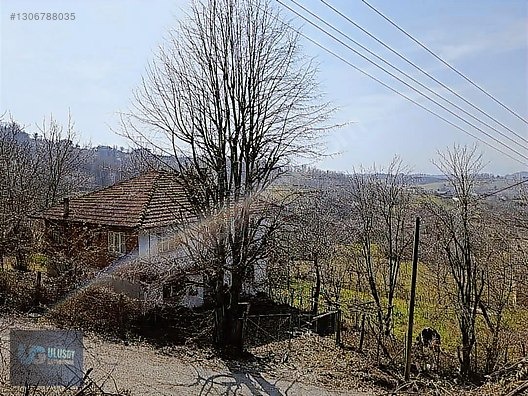 DAİRE FİYATINA BİNA VE ARSA - BARTIN MERKEZ fotoğraf 11