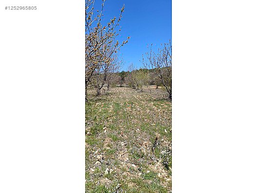 BURSA KELES MENTEŞE KÖYÜNDE  6.297  M² BAĞ SATILIKTIR - BURSA KELES fotoğraf 8