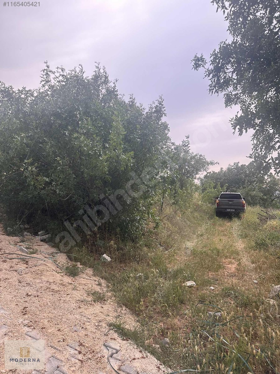 MİHALGAZİ DEMİRCİLER'DE KÖY İÇİ YOLA CEPHELİ 320 M2 - ESKİŞEHİR MİHALGAZİ fotoğraf 6