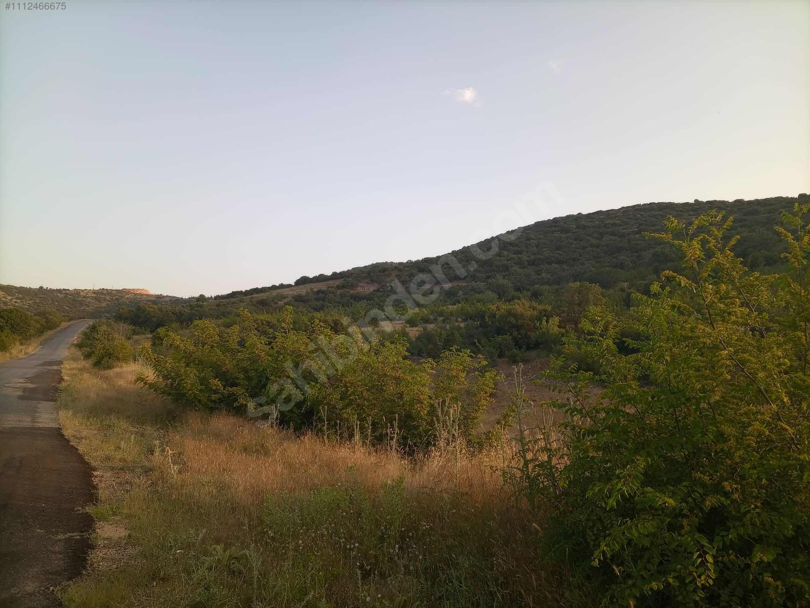 DENİZLİ BEKİLLİ DEŞDEMİR KÖYÜNDE  5.489 M²   TARLA SATILIKTIR - DENİZLİ BEKİLLİ fotoğraf 15