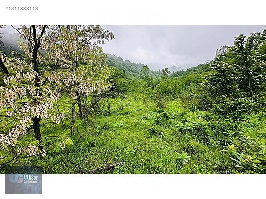 14 DÖNÜM TEK TAPU - BARTIN MERKEZ fotoğraf 8