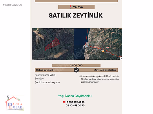 YALOVA KARŞIYAKADA ŞEHİR HASTANESİNE YAKIN ZEYTİNLİK 2.127 M2 - YALOVA ARMUTLU fotoğraf 9
