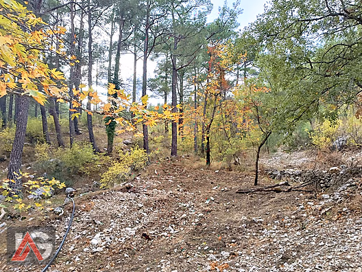 !!! FIRSAT TEKLİF !!! KARACAÖREN MAH. 564m2 ARAZİ UYGUN FİYAT !! - ANTALYA KUMLUCA fotoğraf 3