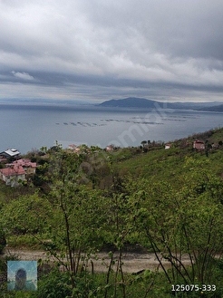 perşembe kaleyka mah 12 daire lik arazi satılık. - ORDU PERŞEMBE fotoğraf 2