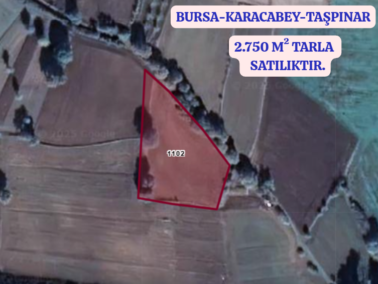BURSA KARACABEY TAŞPINAR KÖYÜNDE 2.750 M² TARLA SATILIKTIR - BURSA KARACABEY fotoğraf 2
