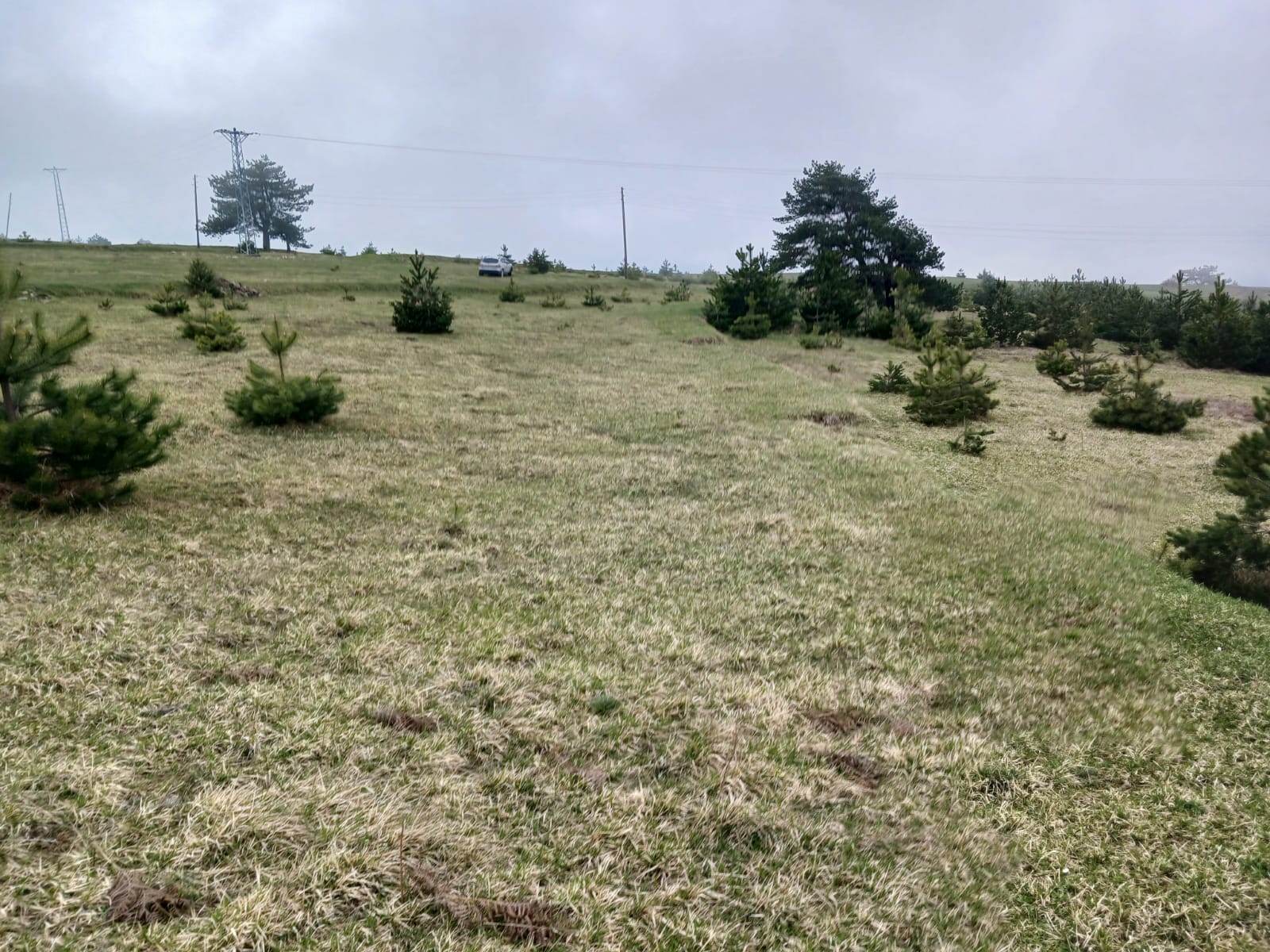 SİNOP DİKMEN ÇUKURCAALAN KÖYÜNDE 2.915M² TARLA SATILIK - SİNOP DİKMEN fotoğraf 23