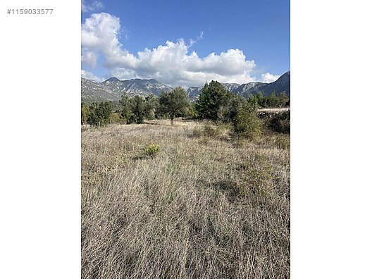 Antalya / Akseki / Erenyaka Mahallesinde  1.551 m² SATILIK ARSA  - ANTALYA AKSEKİ fotoğraf 5