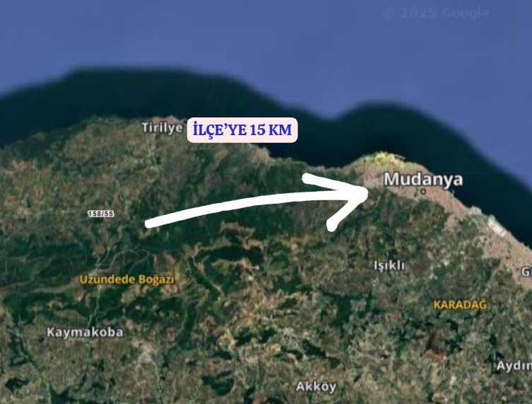 BURSA MUDANYA TİRİLYE (TALATBEY)  KÖYÜNDE 3.753 M²  ZEYTİNLİK SATILIKTIR - BURSA MUDANYA fotoğraf 5