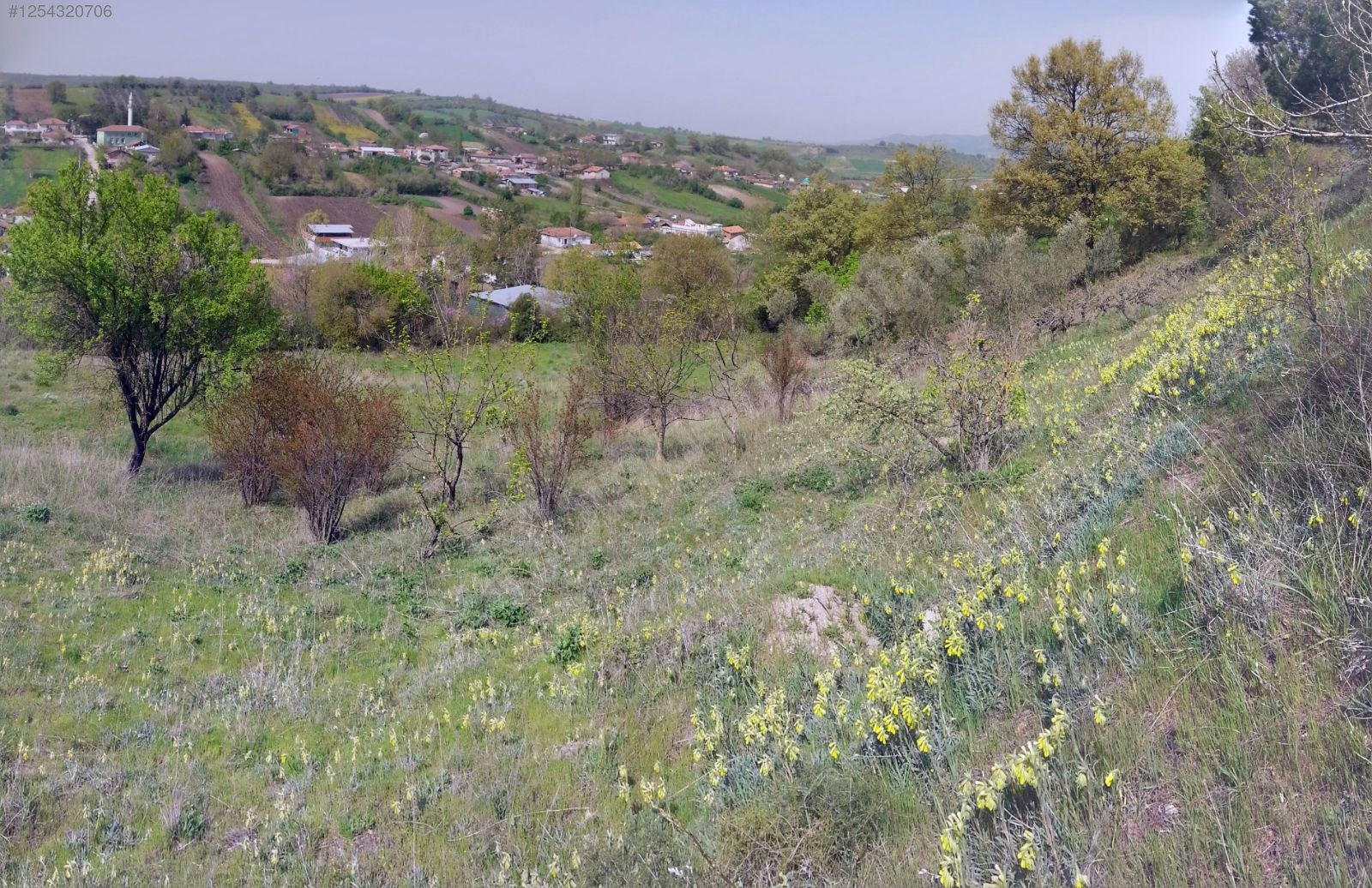 BURSA M.KEMALPAŞA DEMİRDERE KÖYÜNDE 4.536 M² TARLA SATILIKTIR. - BURSA MUSTAFAKEMALPAŞA fotoğraf 7