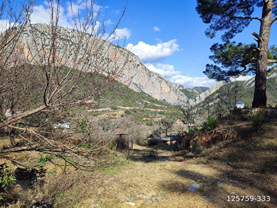 ANAMUR KORUCUKTA MÜSTAKİL SATILIK ZEYTİN VE AVOKADO BAHÇESİ - MERSİN ANAMUR fotoğraf 16