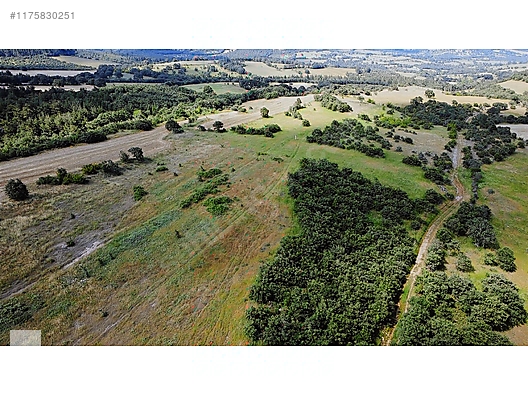 ÇANAKKALE BAYRAMİÇ MURATLAR KÖYÜ 45.000 m2 TARLA - ÇANAKKALE BAYRAMİÇ fotoğraf 15