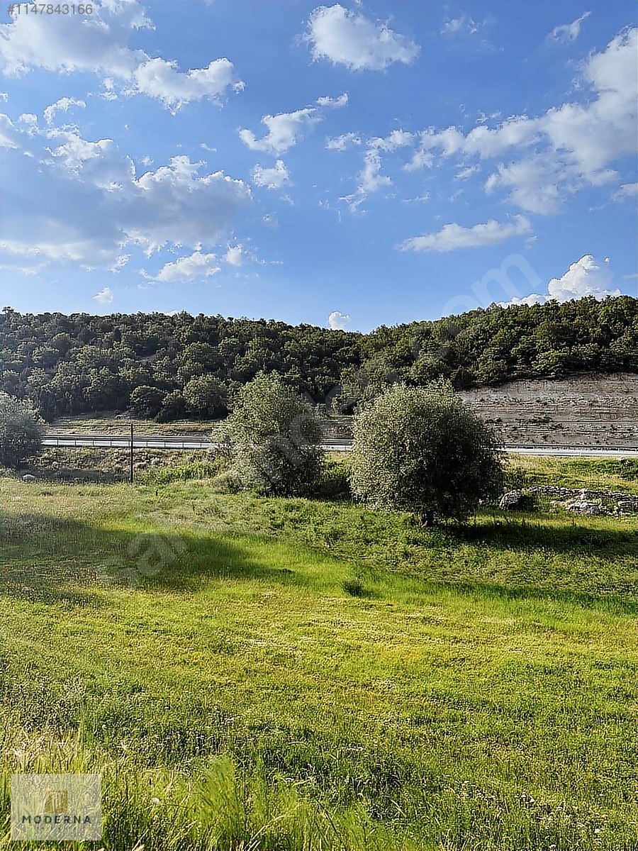 KÜTAHYA MERKEZ ANAYOLA CEPHE 2701 M2 YATIRIMLIK FIRSAT TARLA - KÜTAHYA MERKEZ fotoğraf 12