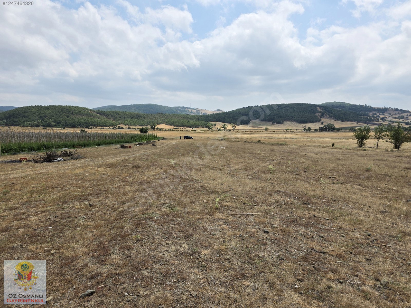 RESMİ YOLU OLAN 4,600 m2 ÇİFTLİK ARAZİSİ KAÇMAZ ! - BİLECİK OSMANELİ fotoğraf 8