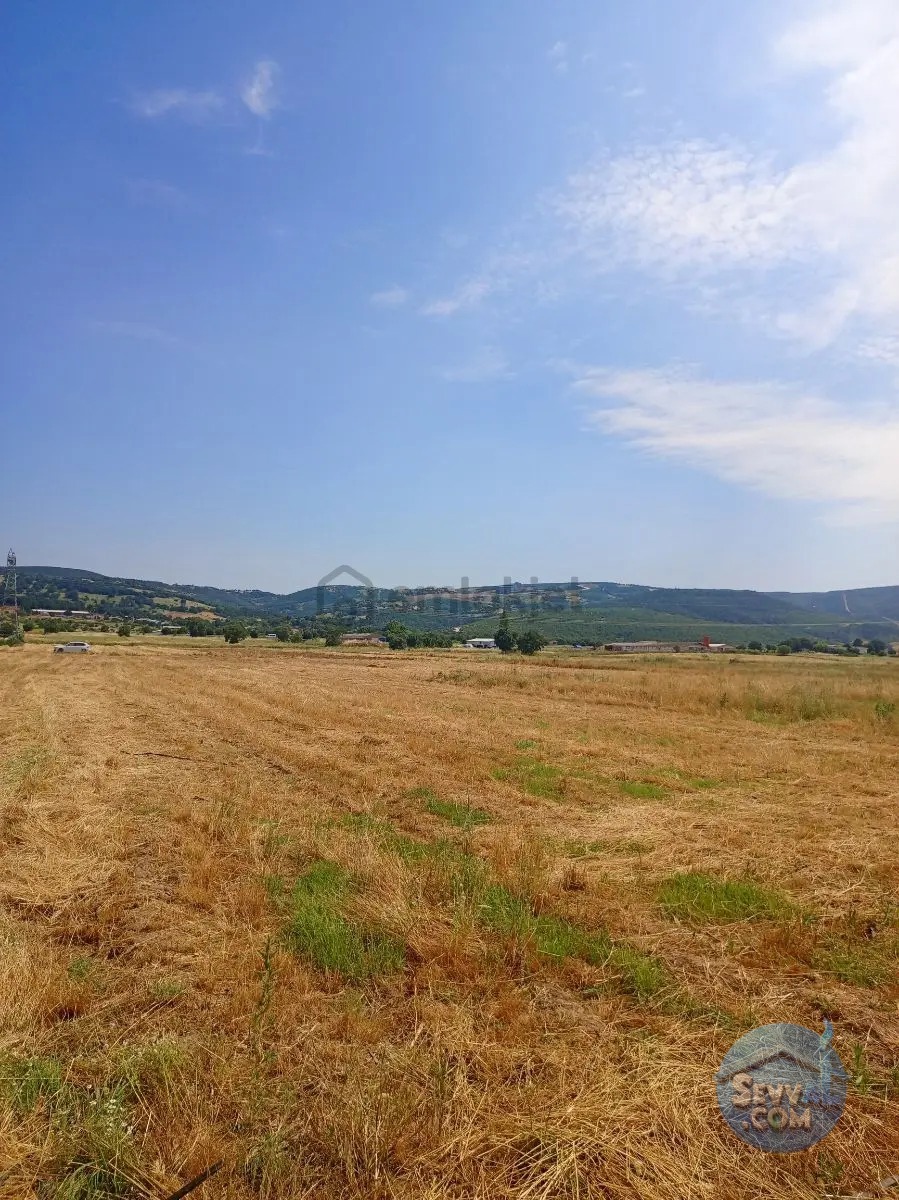 Gökçeyazı Da Kadastro Yolu Mevcut Tarla - BALIKESİR İVRİNDİ fotoğraf 14