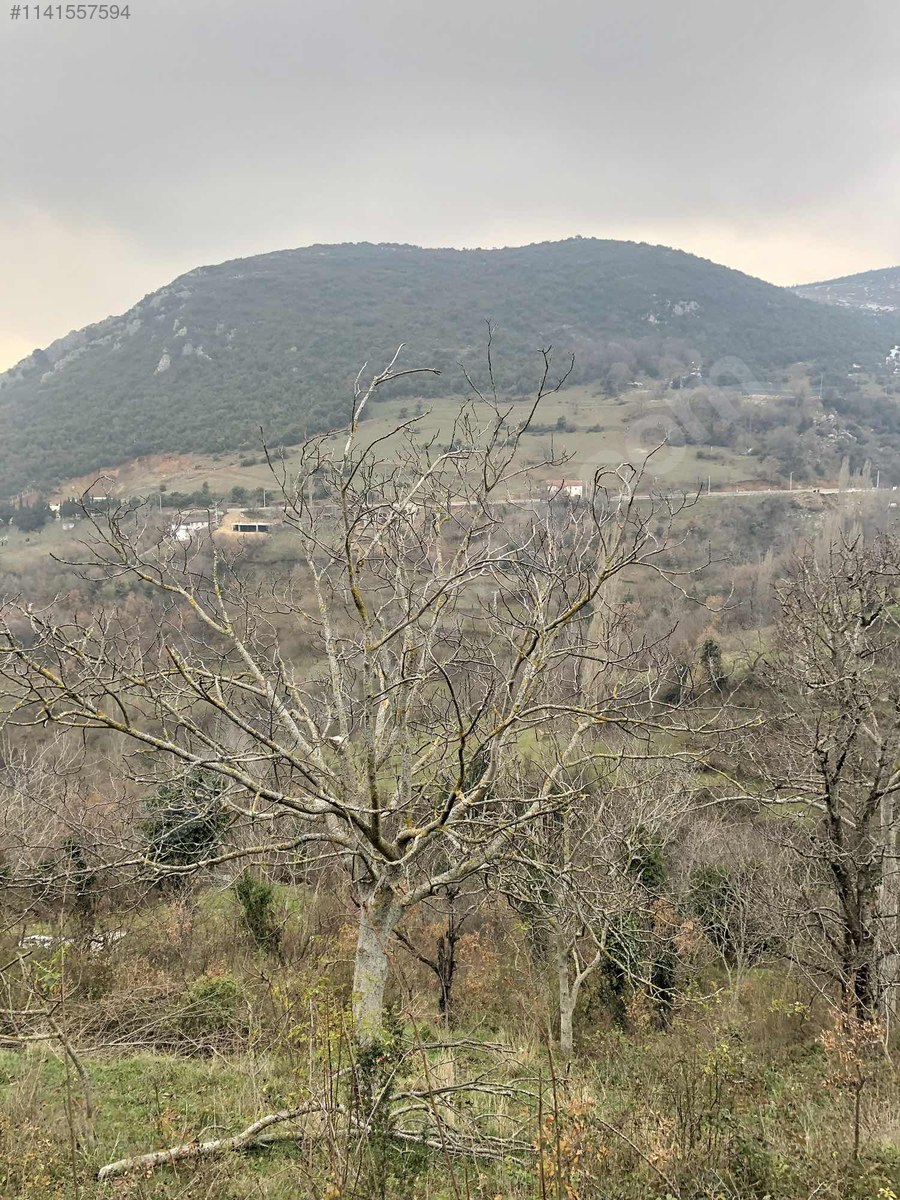 ŞAHİNYURDUNDA KÖY İÇİNDE ARSA - BURSA GEMLİK fotoğraf 19