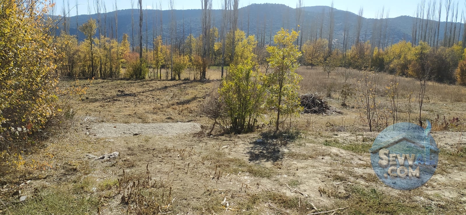 AĞLASUN YAZIR KÖYÜNDE ASFALT CEPHE FIRSAT ARAZİ - Burdur Ağlasun fotoğraf 5