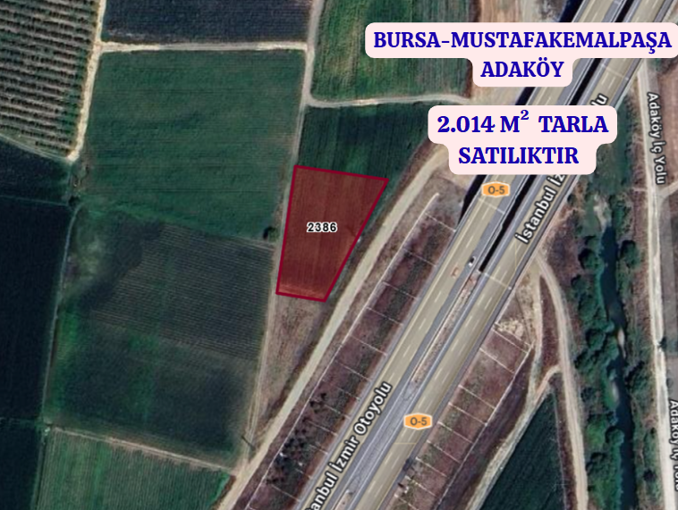 BURSA MUSTAFAKEMALPAŞA ADA   KÖYÜNDE 2.014  M² TARLA  SATILIKTIR - BURSA MUSTAFAKEMALPAŞA fotoğraf 2