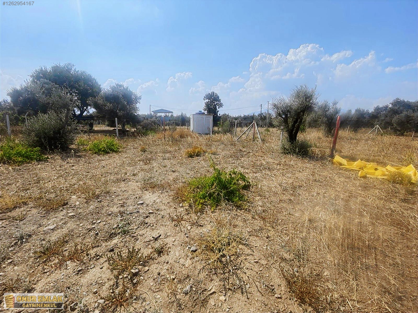 50 m2 Ev 600 m2 arazi - İZMİR KEMALPAŞA fotoğraf 6