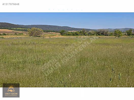 Erikli Köyü'nde Göl ve Deniz Manzaralı, 7400m² Tek Tapu Arsa - EDİRNE KEŞAN fotoğraf 5