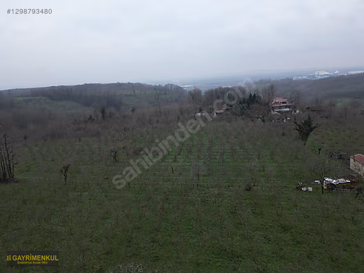 HENDEK SÜLEYMANİYE'DE EŞİ BENZERİ OLMAYAN 16.365 M² KÖYİÇİ ARSA - SAKARYA HENDEK fotoğraf 37