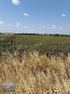 LÜLEBURGAZ İLÇESİ AHMETBEY BELDESİNDE ANA YOLA CEPHELİ ARAZİ - KIRKLARELİ LÜLEBURGAZ fotoğraf 7