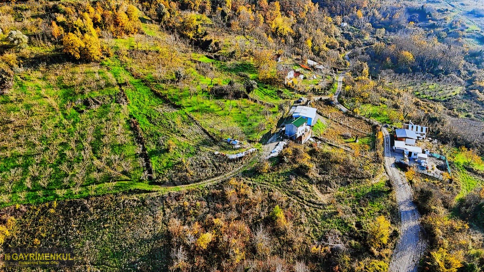 GEYVE DEREKÖYDE 1299 M2 SAKARYA NEHRİ MANZARALI TARLA - SAKARYA GEYVE fotoğraf 30
