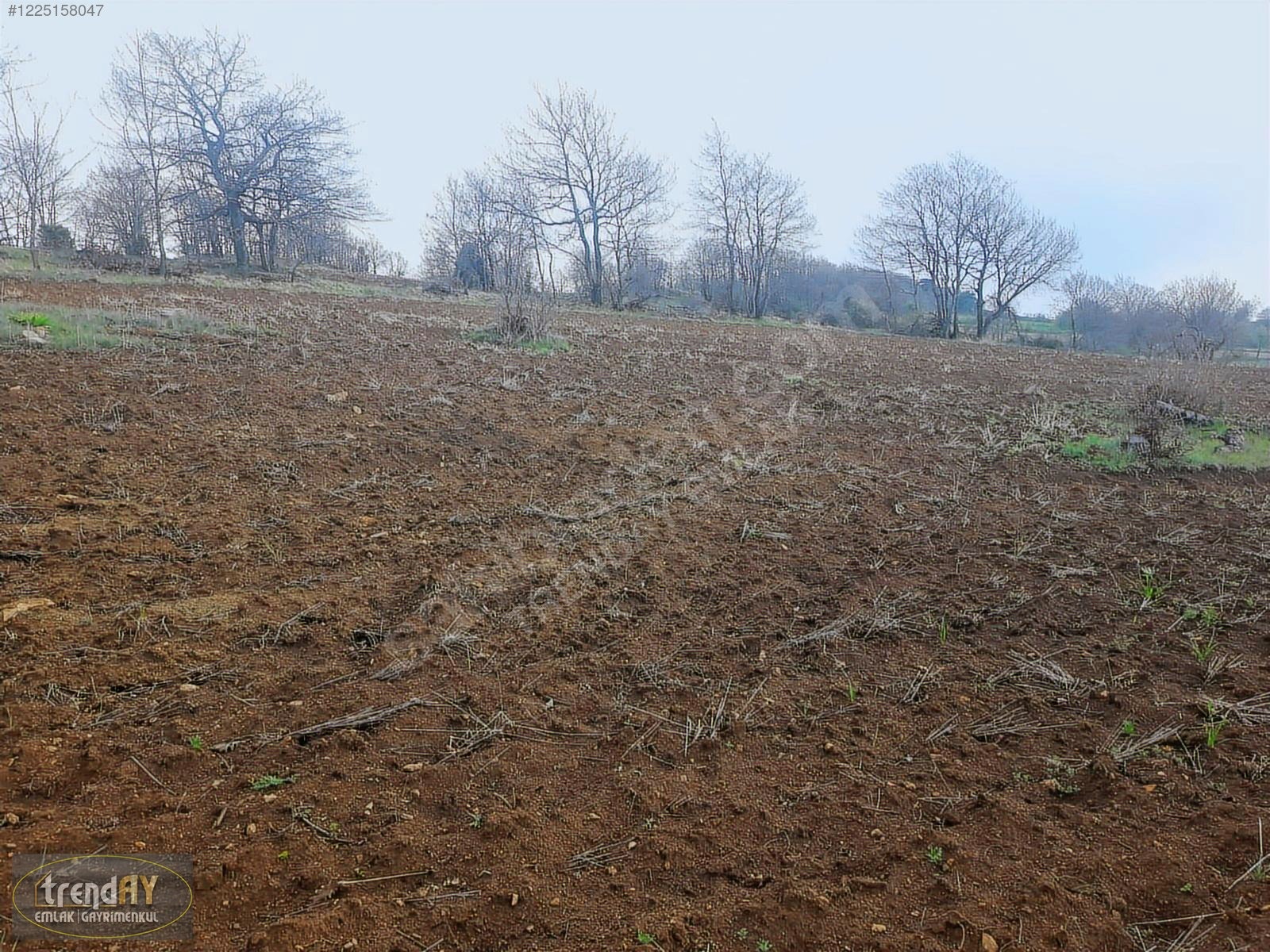 Dübekli Köyü'nde 10.570 m² Kadastral Yola Cepheli Tarlalar - BİLECİK BOZÜYÜK fotoğraf 20