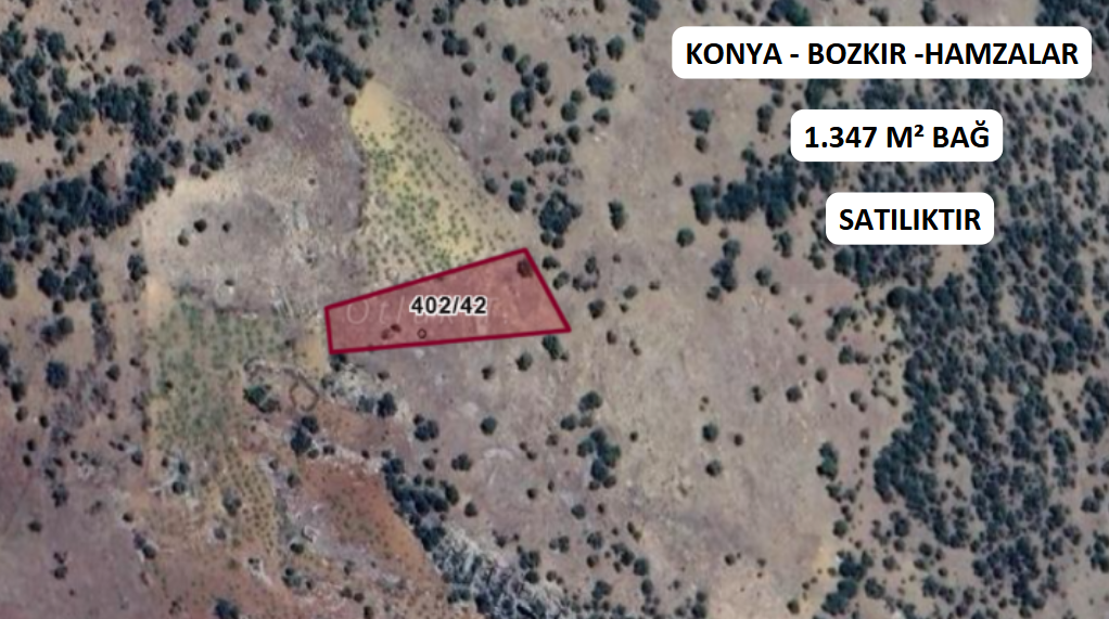 KONYA BOZKIR HAMZALAR KÖYÜNDE 1.347 M² BAĞIMIZ SATILIKTIR. - KONYA BOZKIR fotoğraf 2