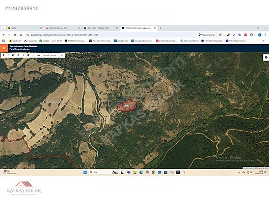 SUSURLUK PAŞAKÖY MAHALLESİ 5.511 M2 SATILIK TARLA - BALIKESİR SUSURLUK fotoğraf 4