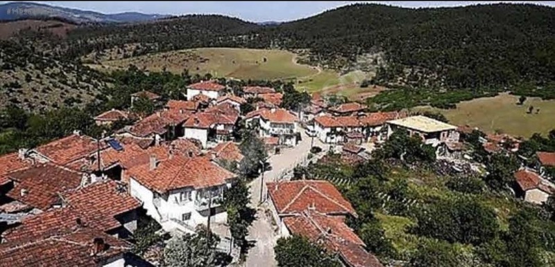İlan Resmi