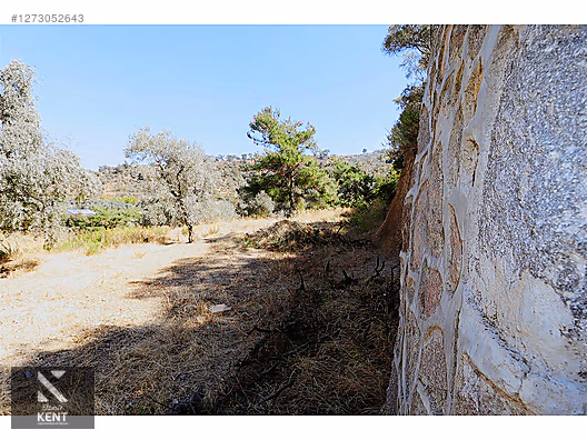 Kemalpaşa Aşağıkızılca Satılık 4536 m2 Bahçe - İZMİR KEMALPAŞA fotoğraf 30