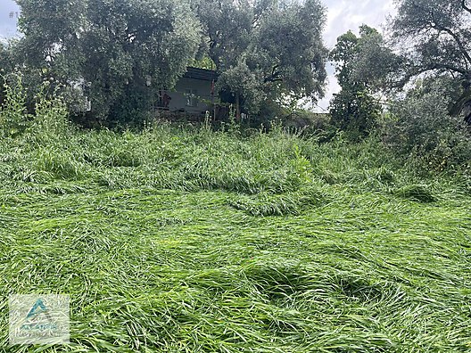Atlantik gayrimenkul den satılık imarlı arsa - İZMİR ÖDEMİŞ fotoğraf 11