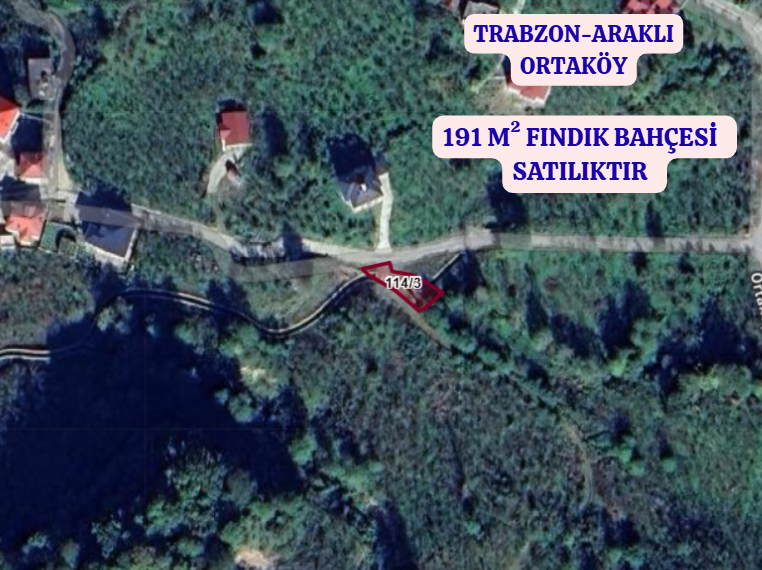 TRABZON ARAKLI ORTAKÖY  KÖYÜNDE  191  M² FINDIK BAHÇESİ  SATILIKTIR - TRABZON ARAKLI fotoğraf 2
