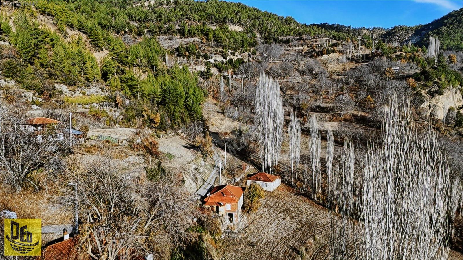 EMECİK 3460m2 YOLA CEPHE ELEKTRİK VE SUYU OLAN CEVİZ BAHÇESİ - DENİZLİ ÇAMELİ fotoğraf 5