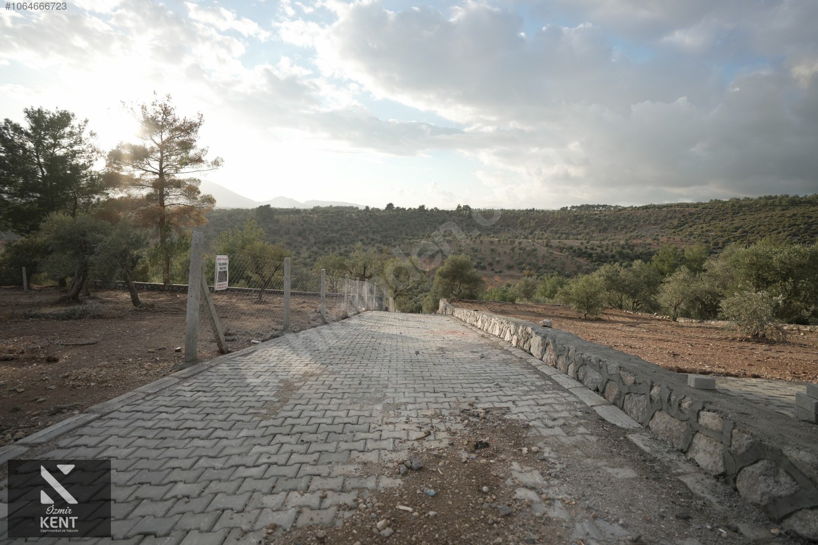 Kemalpaşa Yenmiş Satılık Bahçe 610 m2 - İZMİR KEMALPAŞA fotoğraf 12