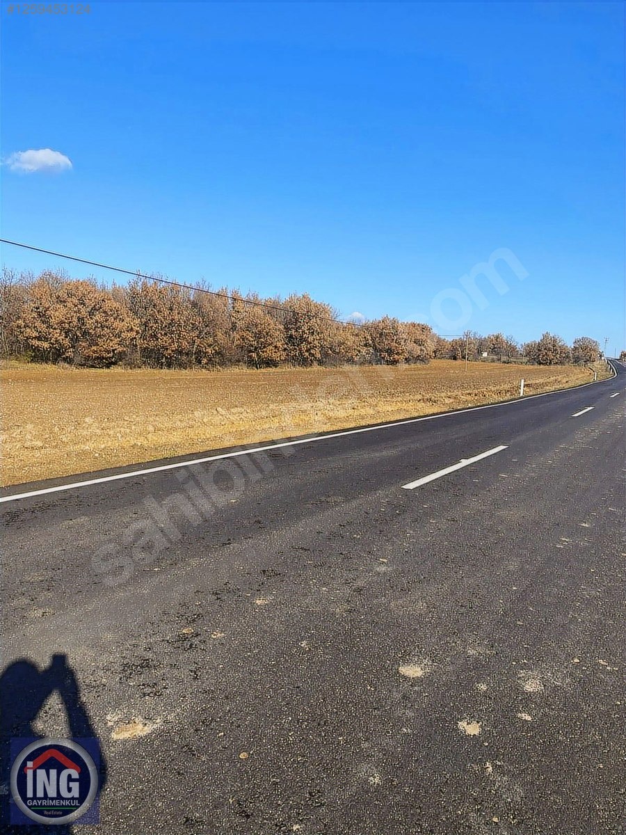 KIRKLARELİ ÜSKÜPTE ORGANİZEYE ASFALTA YAKIN BÜYÜK ARAZİ - KIRKLARELİ MERKEZ fotoğraf 15