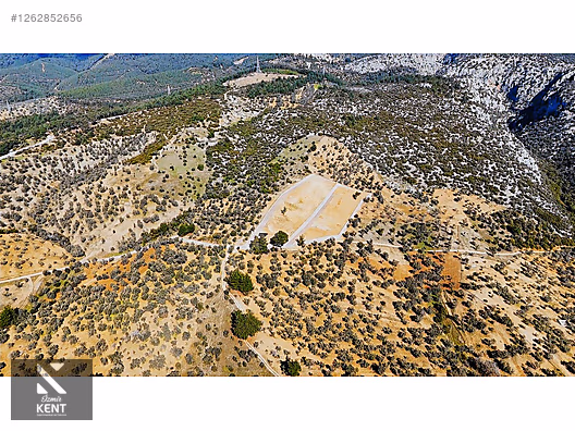 Kemalpaşa Ansızca Satılık 1406 m2 Bahçe - İZMİR KEMALPAŞA fotoğraf 43