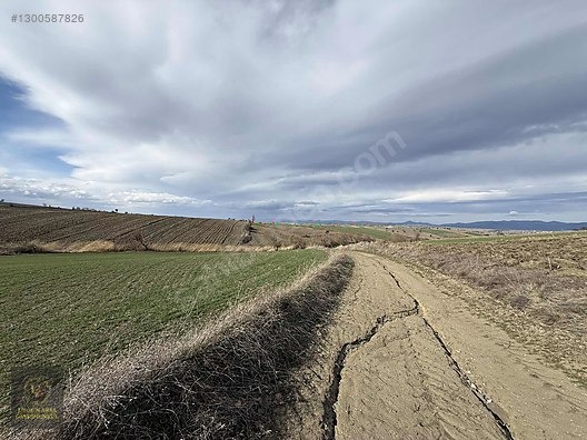 SAMSUN HAVZA KOCAPINAR'DA 4.754 M2 UYGUN ARSA - SAMSUN HAVZA fotoğraf 11